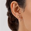 Radley RYJ1488S 18ct Gold Plated Dog Stud And Hoop Earrings Set - J81153 Alternative Image
