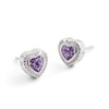 Radley RYJ2475-SET Silver Purple CZ Heart Stud Earrings And Pendant Set - J81178 Alternative Image