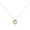 Radley RYJ2605S Gold and Silver Tone Multi Rings Necklace - J81206 Alternative Image