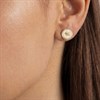 Radley RYJ1682S Gold Tone Dog Cut Out Stud Earrings - J81207 Alternative Image