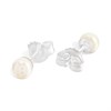Little Star Silver Freshwater Pearl Stud Earrings - J83137 Alternative Image