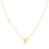Michael Kors MKC1573AN710 Gold Tone CZ Lock Necklace - J94163 Alternative Image