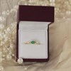 9ct Gold Emerald And Diamond Ring - R0976 Alternative Image