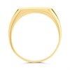 9ct Gold Skinny Signet Ring - R1924 Alternative Image