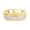 9ct Two Colour Gold Diamond Signet Ring - R3359 Alternative Image