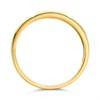 9ct Gold Two Colour Diamond Ring - 5pts - R3937 Alternative Image