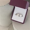 9ct White Gold Diamond Band Ring - R3939 Alternative Image