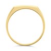 9ct Gold Diamond Ring - R4012 Alternative Image