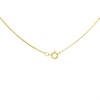 9ct Gold Initial D Necklace - R50130 Alternative Image