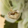 9ct Two Colour Gold Diamond Heart Necklace - R69112 Alternative Image