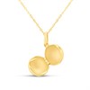 9ct Gold Round Ball Locket And Chain - R7201 Alternative Image