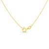 9ct Gold Oval Border Locket And Chain - R7202 Alternative Image