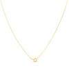 9ct Gold Tree Of Life Diamond Locket And Chain - R7255 Alternative Image