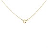 9ct Gold Ruby Necklace - R82113 Alternative Image