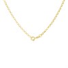 9ct Gold Round Belcher Chain - 16in - R9829 Alternative Image