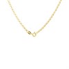9ct Gold Round Belcher Chain - 22in - R9832 Alternative Image
