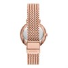 Fossil ES5322 Jacqueline Mesh Bracelet Watch - W10393 Alternative Image