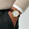 Lorus RRX18HX9 Gold Tone Brown Leather Strap Watch - W16376 Alternative Image