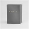 Spirit SP3008 Gold Plated Bracelet Watch - W27122 Alternative Image