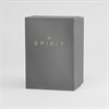 Spirit SP4030 Two Tone Stone Set Bracelet Watch - W27187 Alternative Image