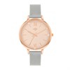 Spirit SPL01-4009-SET Two Tone Mesh Watch And Activity Tracker Set - W27204 Alternative Image