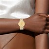 Coach 14503993 Gold Tone Stone Set Bracelet Watch - W43139 Alternative Image