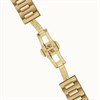 Ingersoll I17002 The Spur Automatic Bracelet Watch - W49101 Alternative Image
