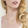Radley RY4517A-SET Two Tone Mesh Bracelet Watch And Necklace Gift Set - W51370 Alternative Image