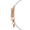 Radley RY4399A Rose Gold Plated Mesh Bracelet Watch - W51498 Alternative Image