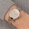 Radley RY4721A Two Tone Dog Charm Bracelet Watch - W51624 Alternative Image