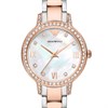 Emporio Armani AR11499 Two Tone Bracelet Watch - W62227 Alternative Image