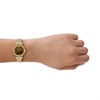 Emporio Armani AR11703 Gold Tone Tiger's Eye Bracelet Watch - W62253 Alternative Image