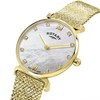 Rotary RLB10022/07 1895 Gold Tone Mother Of Pearl Stone Set Dial Mesh Bracelet Watch - W64242 Alternative Image