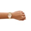 Armani Exchange AX5619 Lola Mesh Bracelet Watch - W65545 Alternative Image