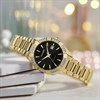 Citizen EW2652-55E Eco-Drive Diamond Bracelet Watch - W92175 Alternative Image