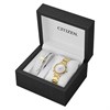 Citizen EM1092-64D L Arcly Eco-Drive Watch With Interchangeable Strap - W92182 Alternative Image