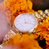 Citizen EM0993-82X L Silhouette Eco-Drive Rose Tone Bracelet Watch - W92217 Alternative Image