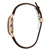 Citizen EM1163-09X L Ceci Eco-Drive Brown Leather Strap Watch - W92218 Alternative Image
