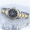 Citizen EW0454-50E-SET Two Tone Watch And Bracelet Gift Set - W92228 Alternative Image