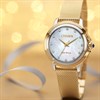 Citizen EM0794-54D Ceci Diamond Eco-Drive Mesh Strap Watch - W9275 Alternative Image