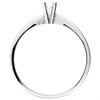 Polar Fire 9ct White Gold Diamond Engagement Ring - 15pts - X10012 Alternative Image
