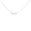 18ct White Gold Diamond Circle Necklace - 1/4ct - X11321 Alternative Image