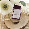9ct White Gold 1 Carat Diamond Cluster Band Ring - Z5129 Alternative Image