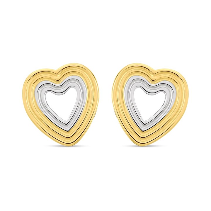 Skagen SKJ1677998 Kariana Two-Tone Stainless Steel Stud Earrings - A7159