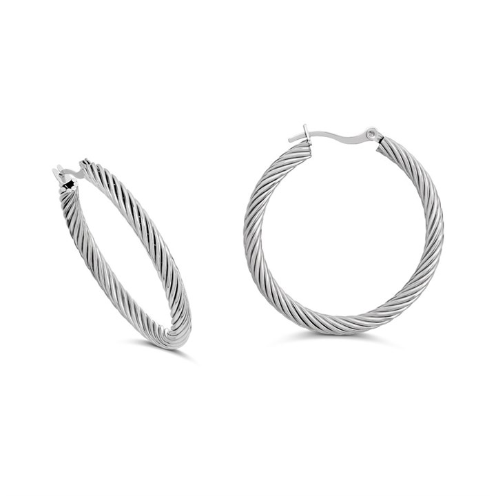 Unique Steel Hoop Earrings - A7406