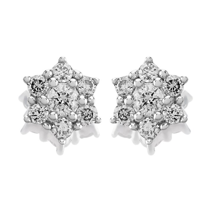 9ct White Gold Diamond Cluster Stud Earrings - 20pts per pair - D5531
