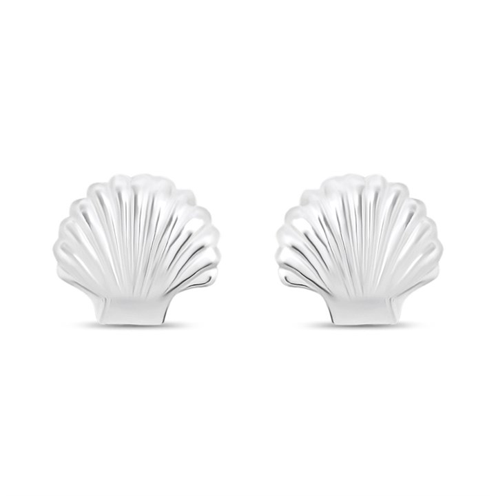 Silver Shell Stud Earrings - F0153