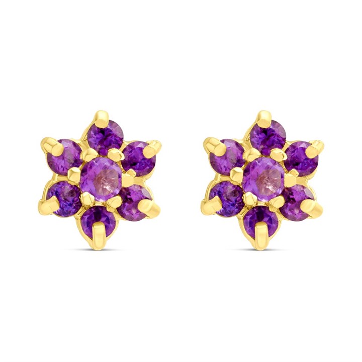 9ct Gold Amethyst Flower Cluster Stud Earrings - G04101