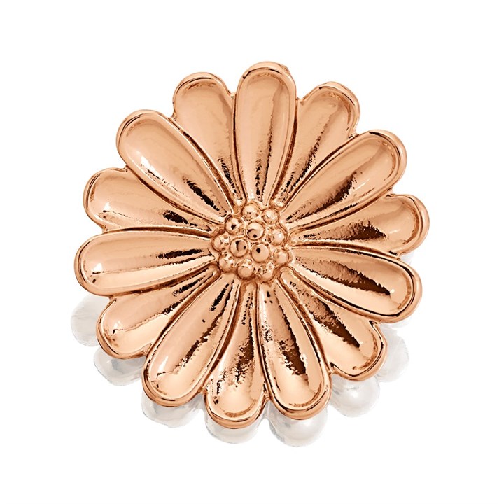 Fable Gold Tone Daisy Brooch - J9629