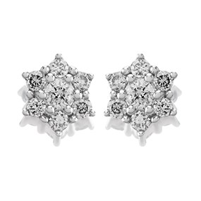 9ct White Gold Diamond Cluster Stud Earrings - 20pts per pair - D5531